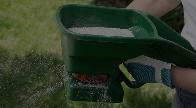 Montreal Fertilization