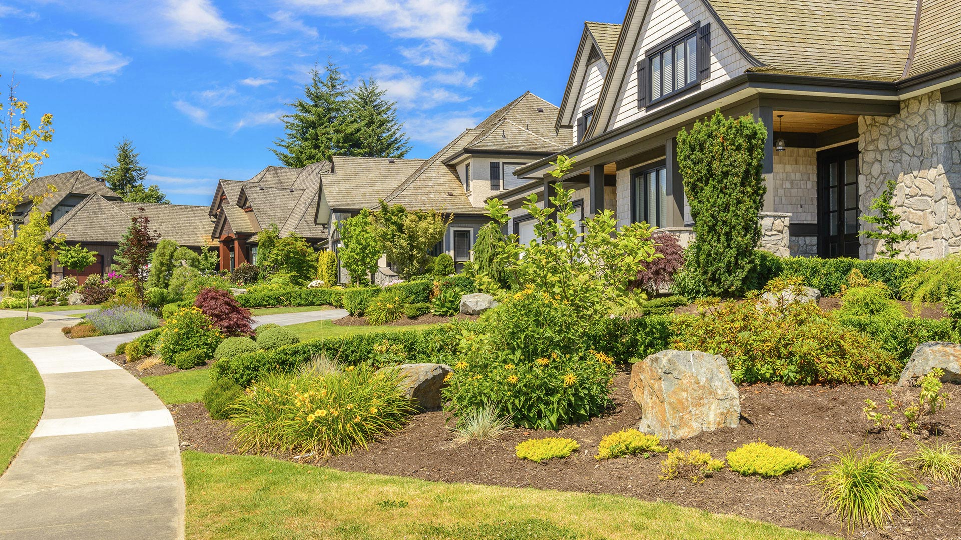 LinkNow Media  slide 2